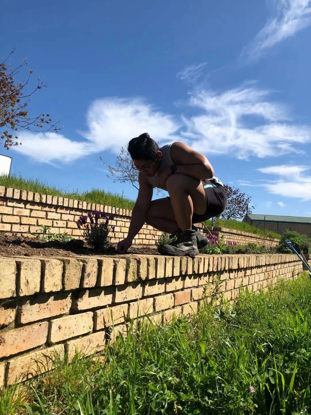 Garden design being installed by Lou’s Gardening and Landscaping