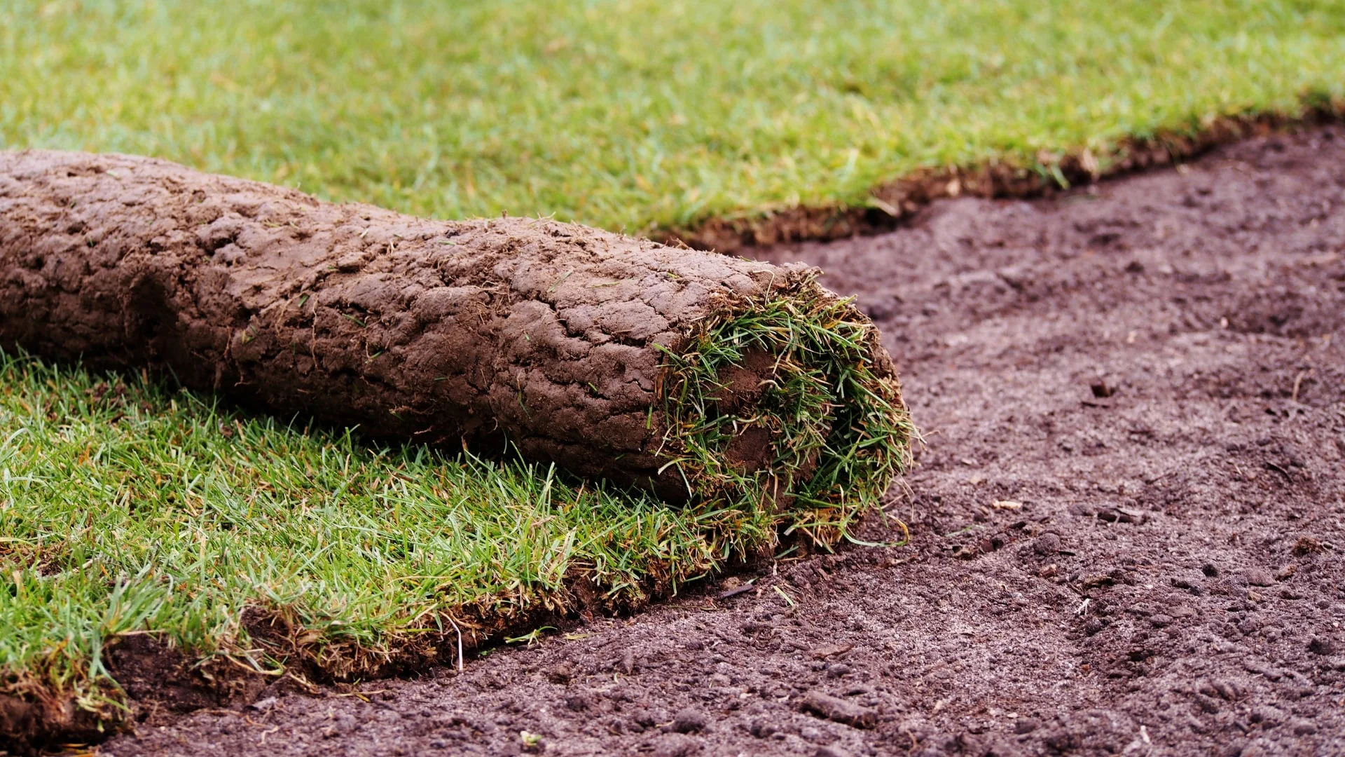Rolls of turf being laid over prepared soil