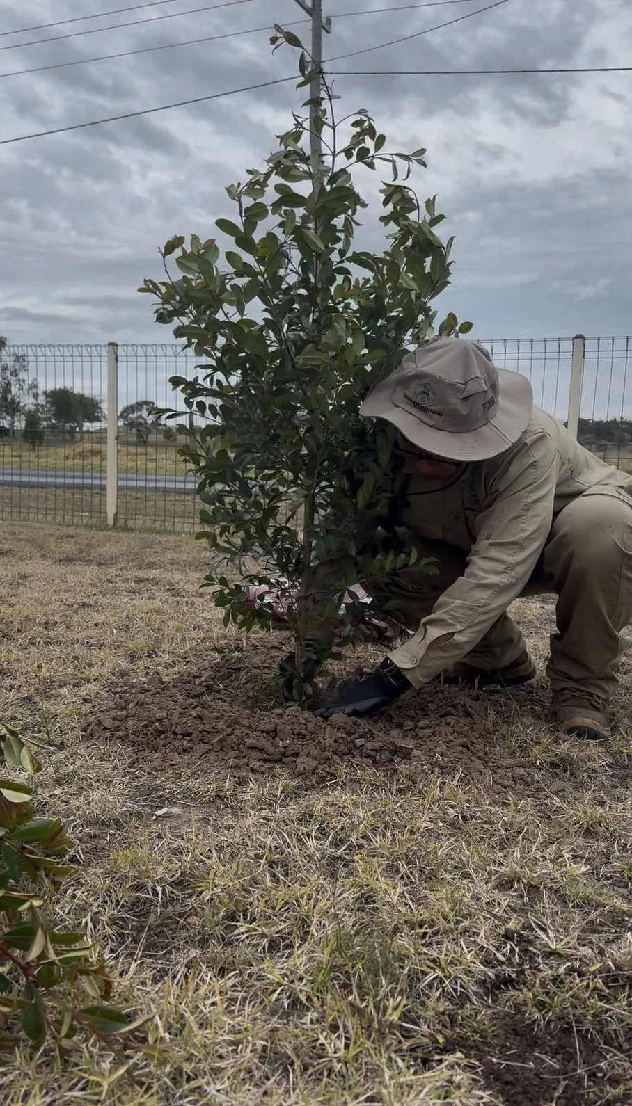 Lou planting a young tree as part of a garden makeover