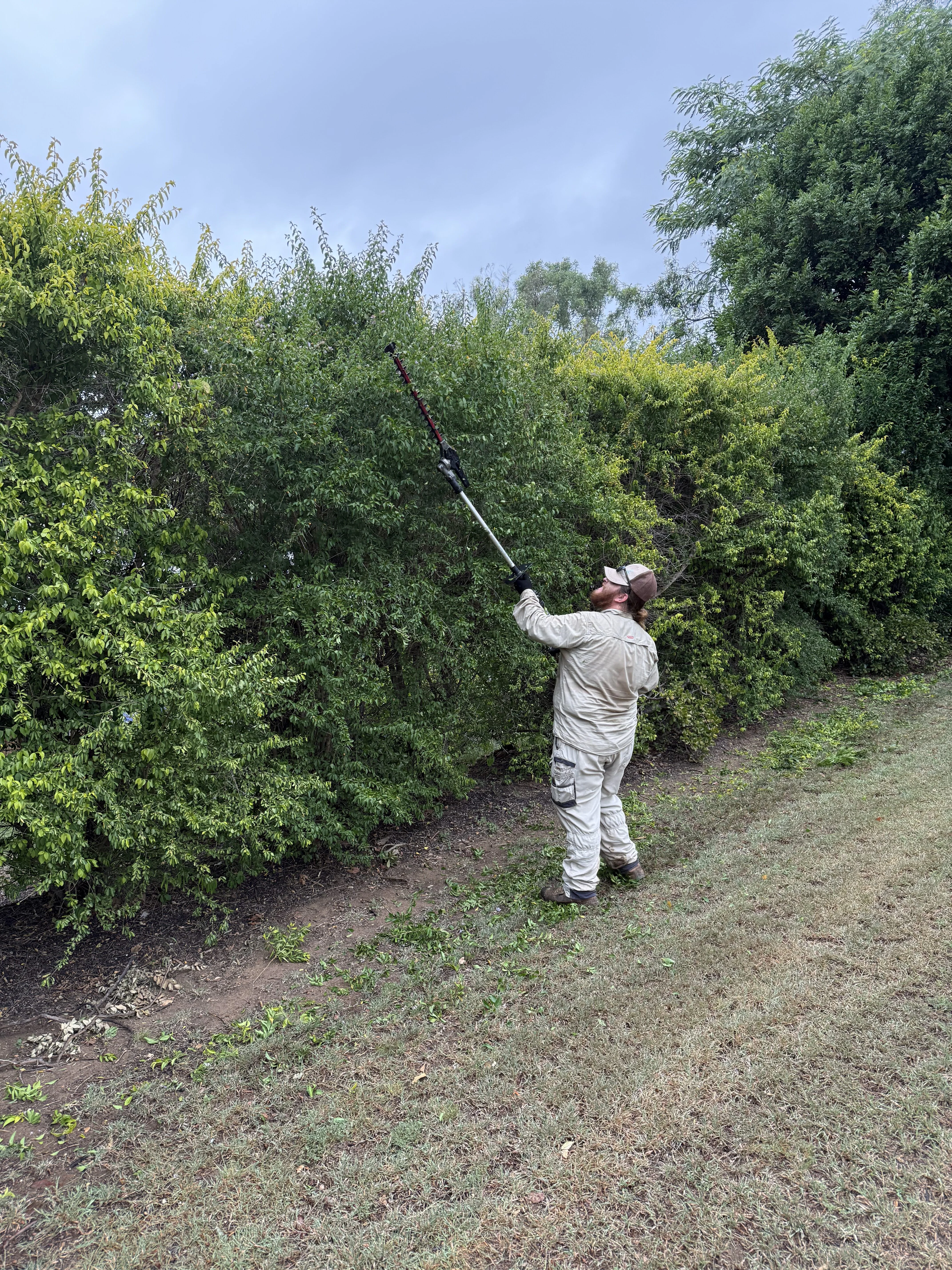 Lou trimming an established hedge on a Lockyer Valley property