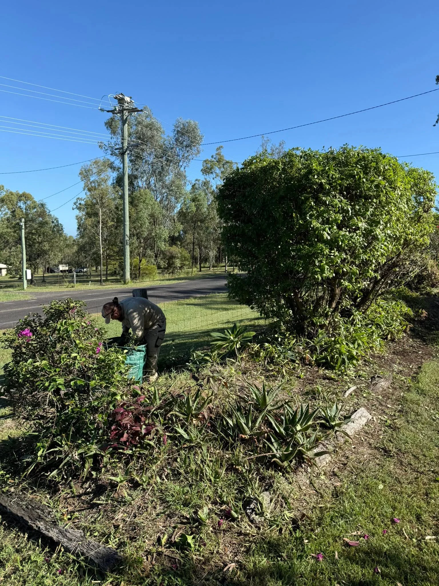 Garden pruning and clean-up beside a shaped hedge