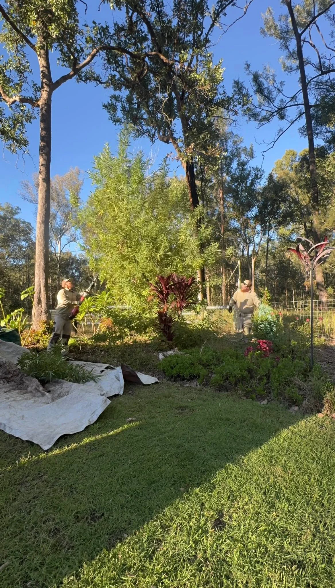 Pruning work underway in an established Lockyer Valley garden
