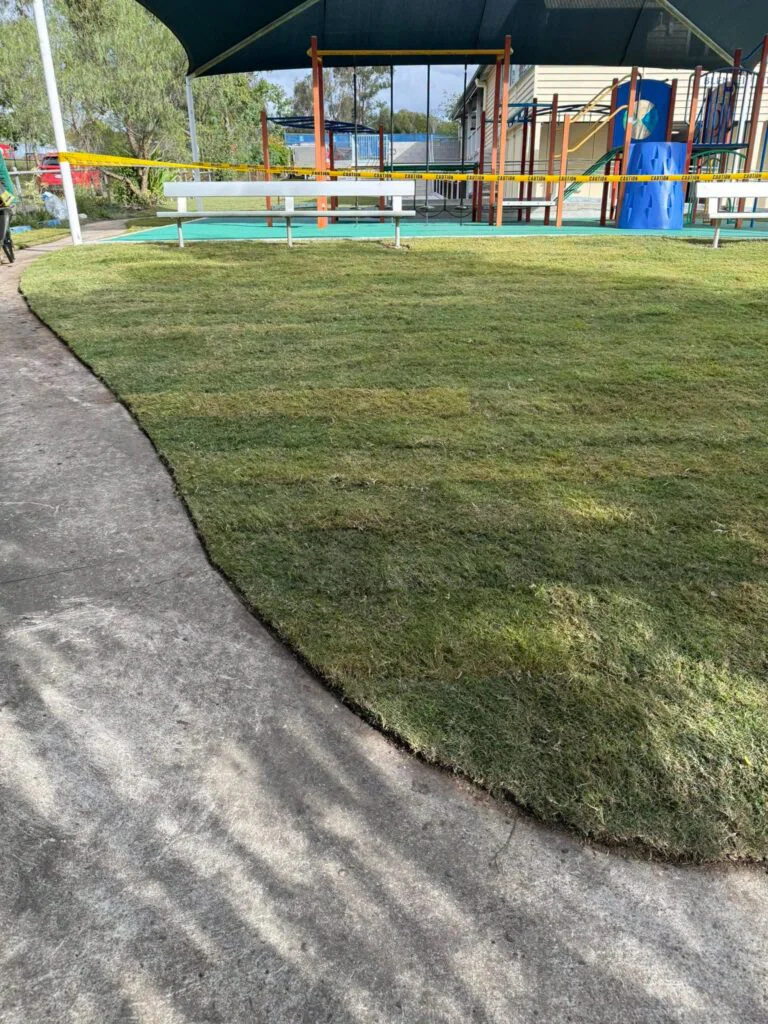 Progress photo of the Blenheim State School Project