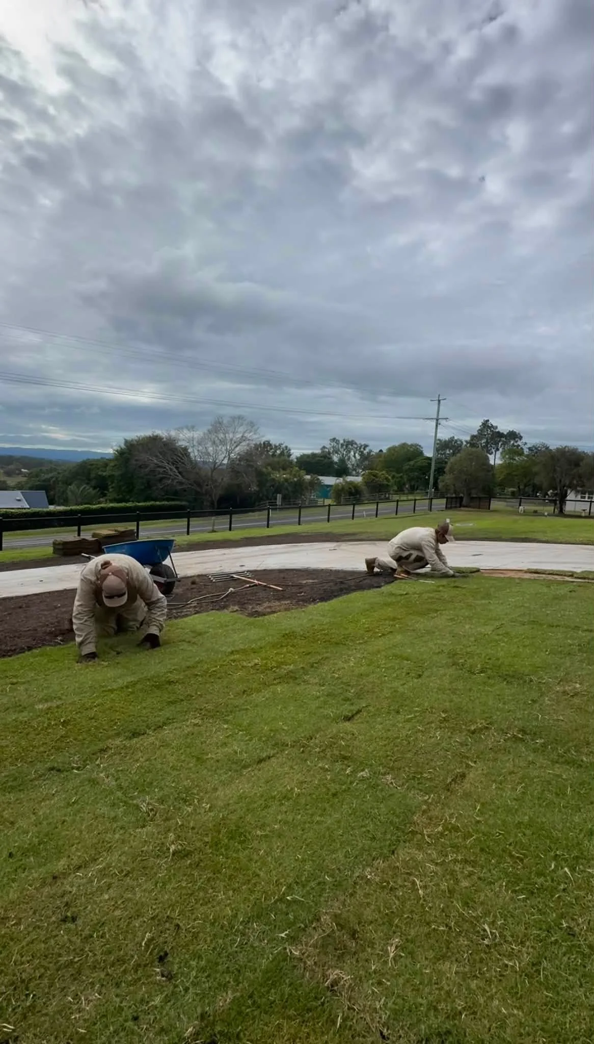 Freshly laid instant lawn turf on a prepared and levelled site in the Lockyer Valley