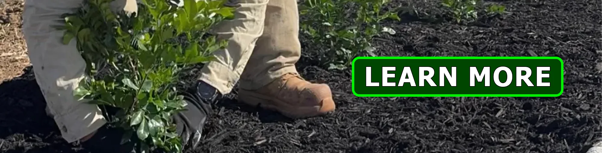 Garden design and makeover project by Lou's Gardening and Landscaping Services