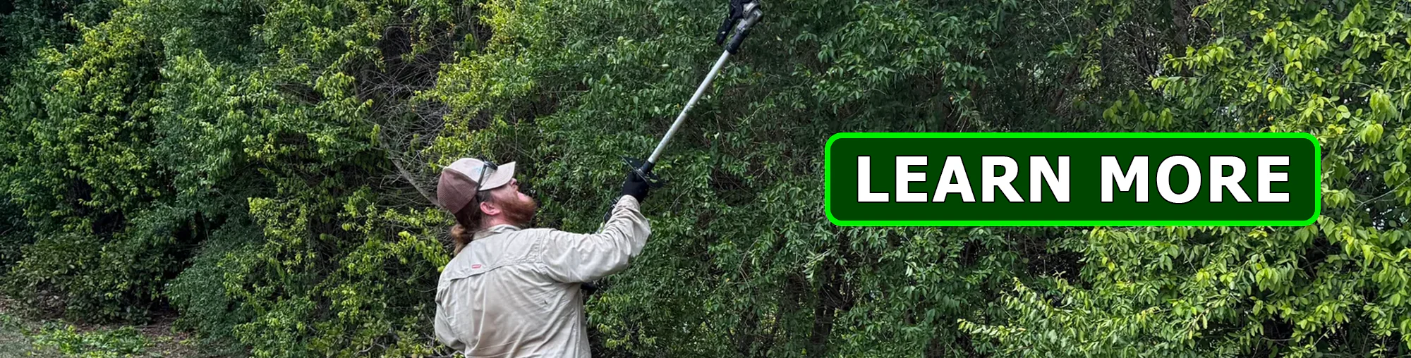 Hedge trimming and small tree pruning by Lou's Gardening and Landscaping Services