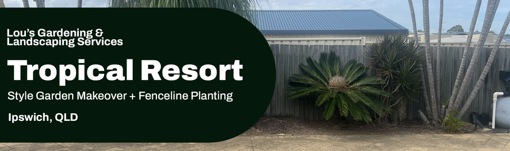 Tropical garden makeover with palms and new planting in Ipswich QLD