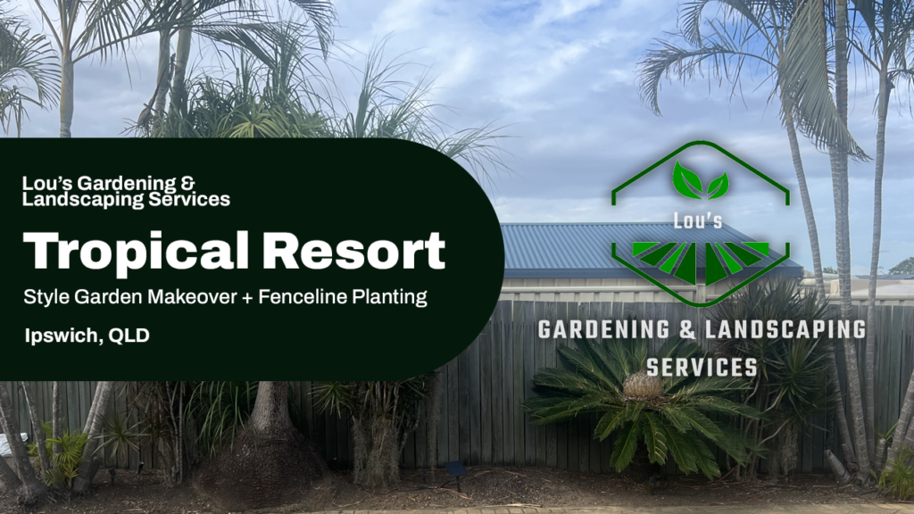 Tropical garden makeover with palms and new planting in Ipswich QLD
